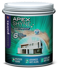 Apex Shyne Paint